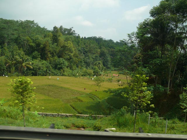 P1030694